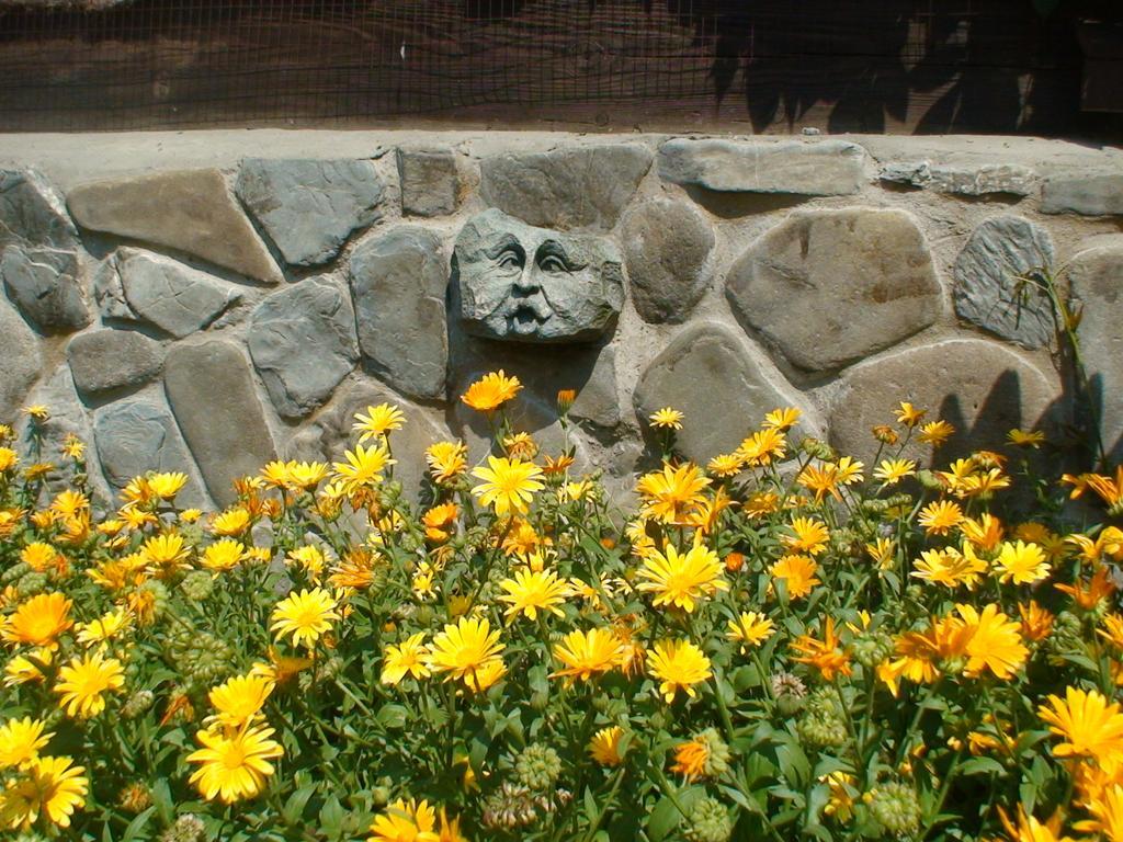 Gostynniy Dvir Raytshtoky Hotel Vorokhta Exterior photo